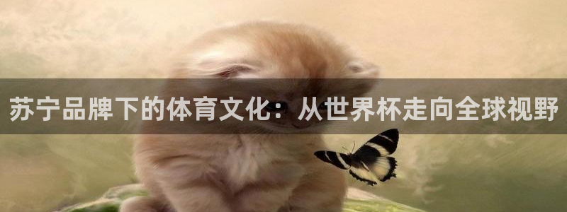 世界杯比赛时间:苏宁品牌下的体育文化:从世界杯走向全球视野