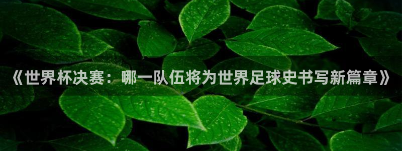 世界杯直播时间:《世界杯决赛:哪一队伍将为世界足球史书写新篇章》