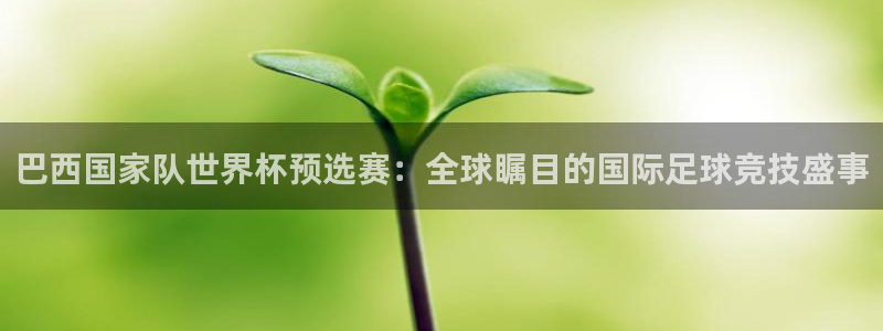 世界杯足球赛2026赛程时间:巴西国家队世界杯预选赛:全球瞩目的国际足球竞技盛事