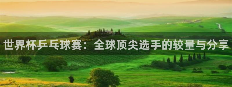 亚洲区世界杯预选赛:世界杯乒乓球赛:全球顶尖选手的较量与分享