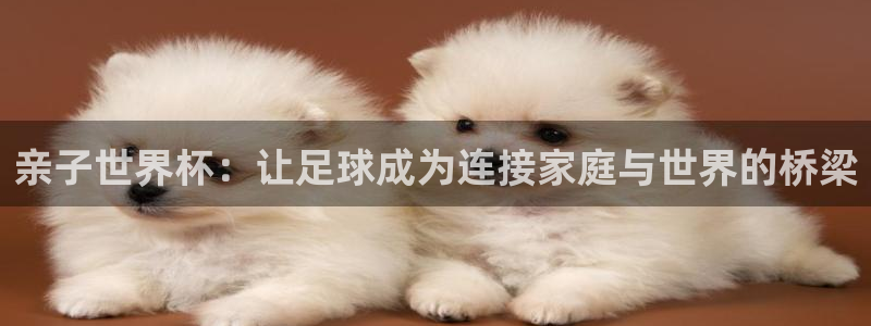 世界杯直播:亲子世界杯:让足球成为连接家庭与世界的桥梁