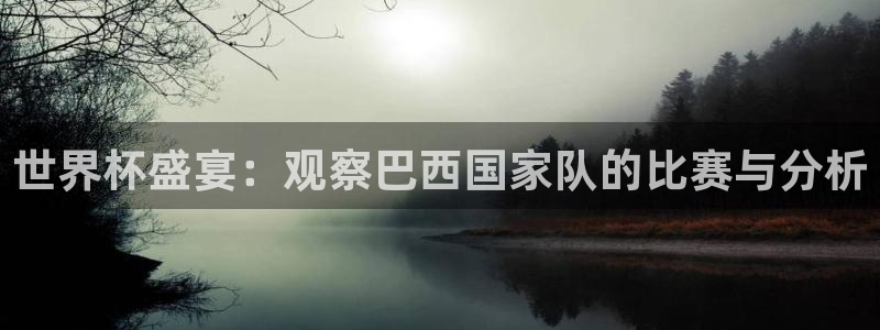 世界杯官网入口:世界杯盛宴:观察巴西国家队的比赛与分析